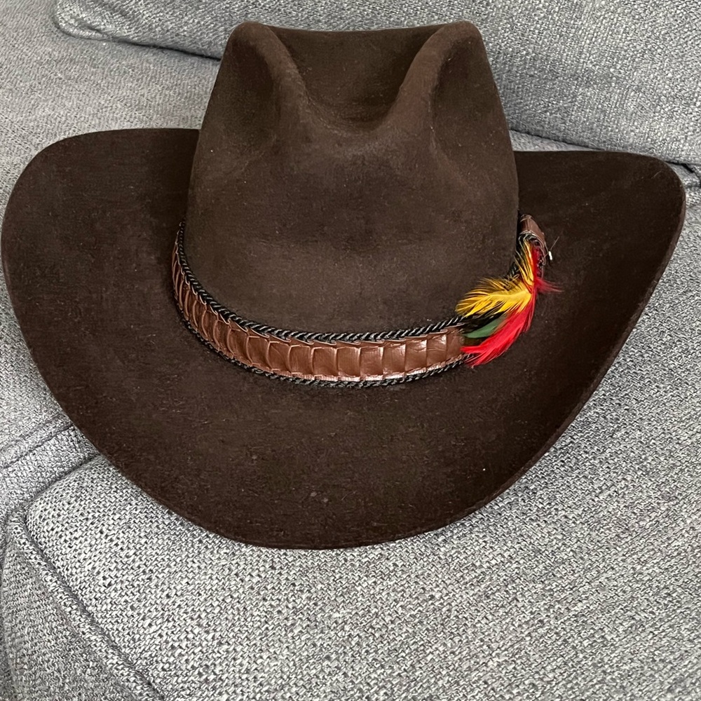 Stetson Dark Brown Men's Hat with Feather Accent